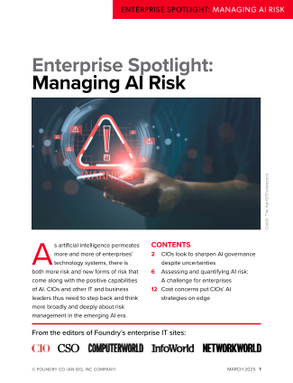 Download the AI Risk Management Enterprise Spotlight